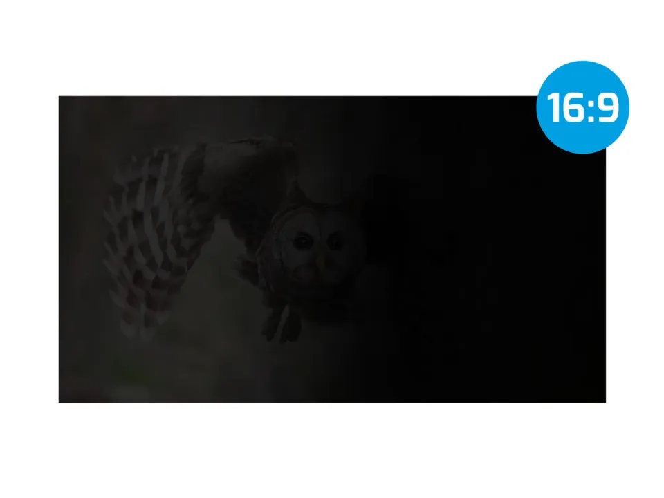 Privátní filtr Natec Owl 21,5" 16:9