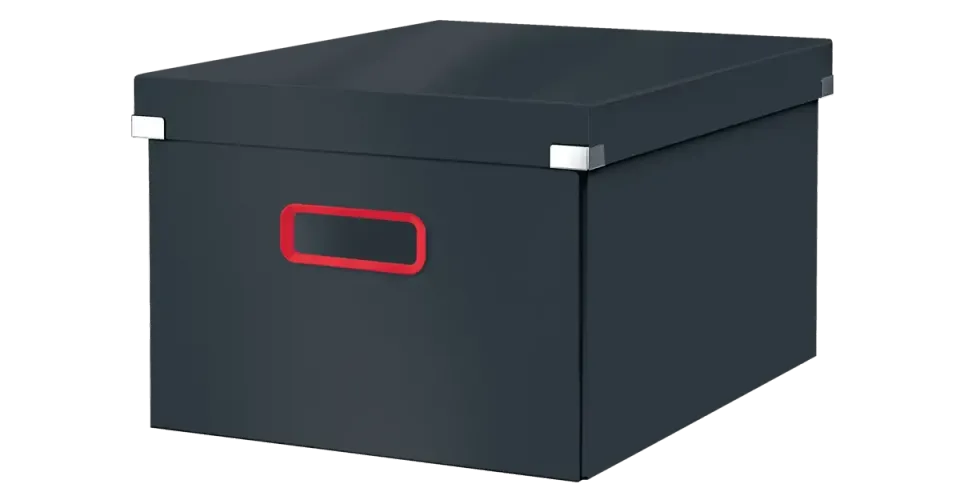 LEITZ Univerzální krabice Click&Store COSY, velikost M (A4), sametově šedá
