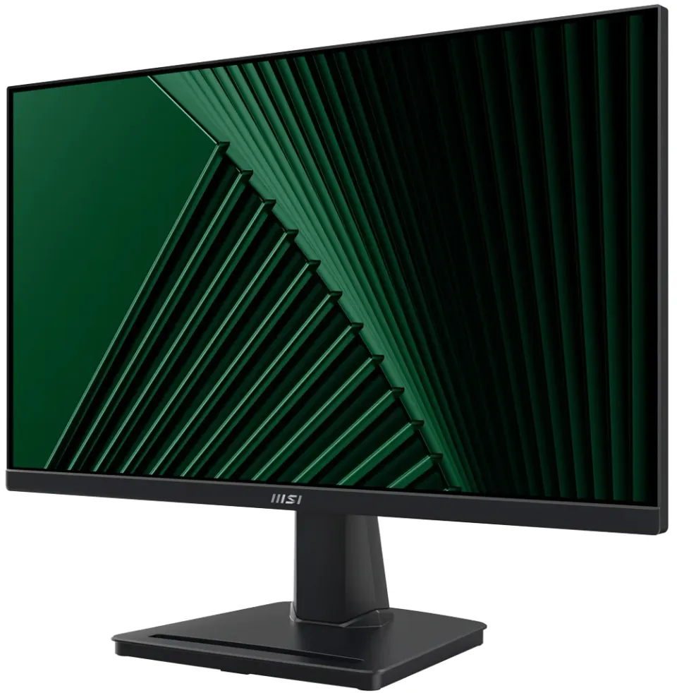 MSI monitor PRO MP225V, 21,5" VA/1920 x 1080 FHD/100Hz/1ms/HDMI/D-Sub/černá