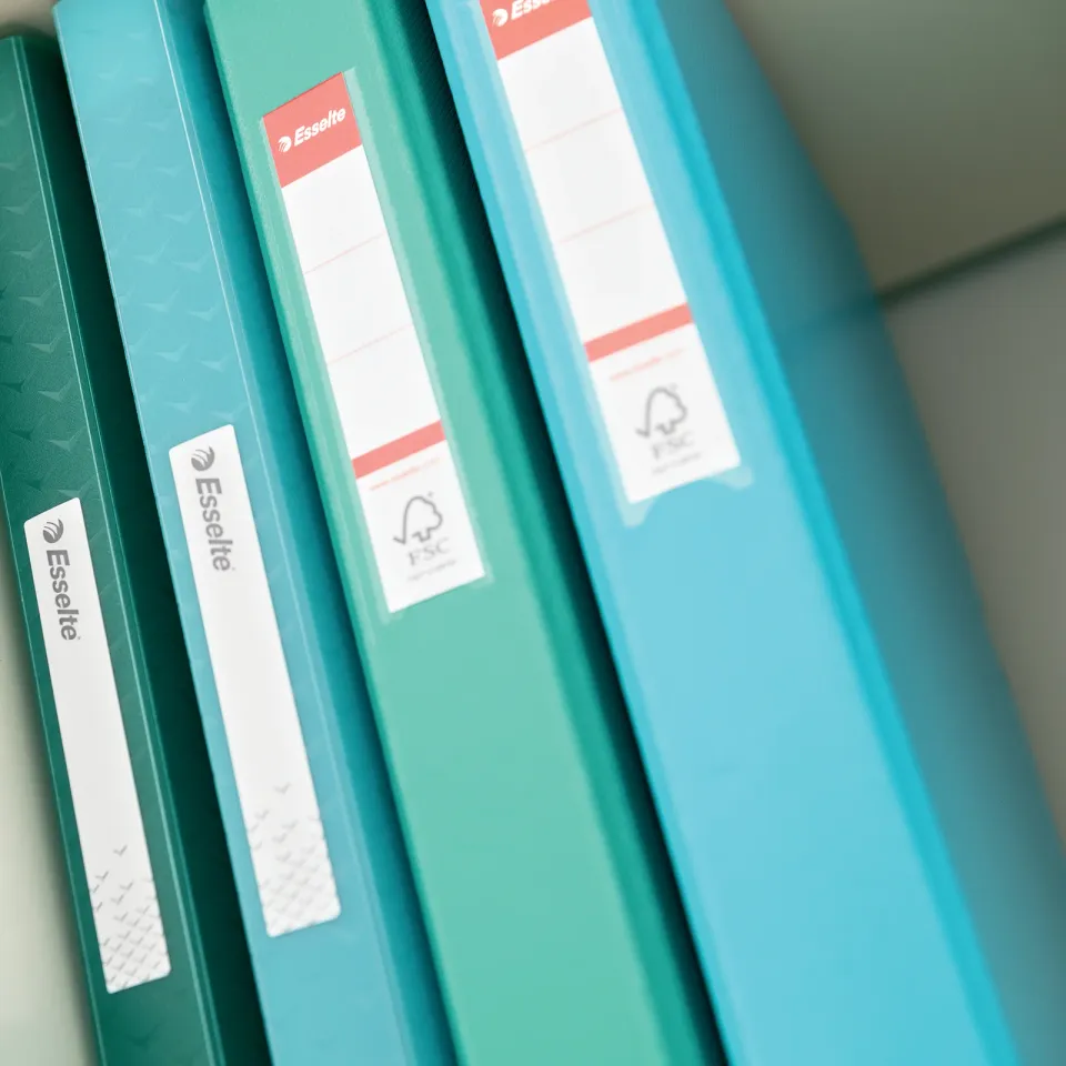 Esselte Plast. kroužk. pořadač Colour´Breeze 2RR/25mm, korálová