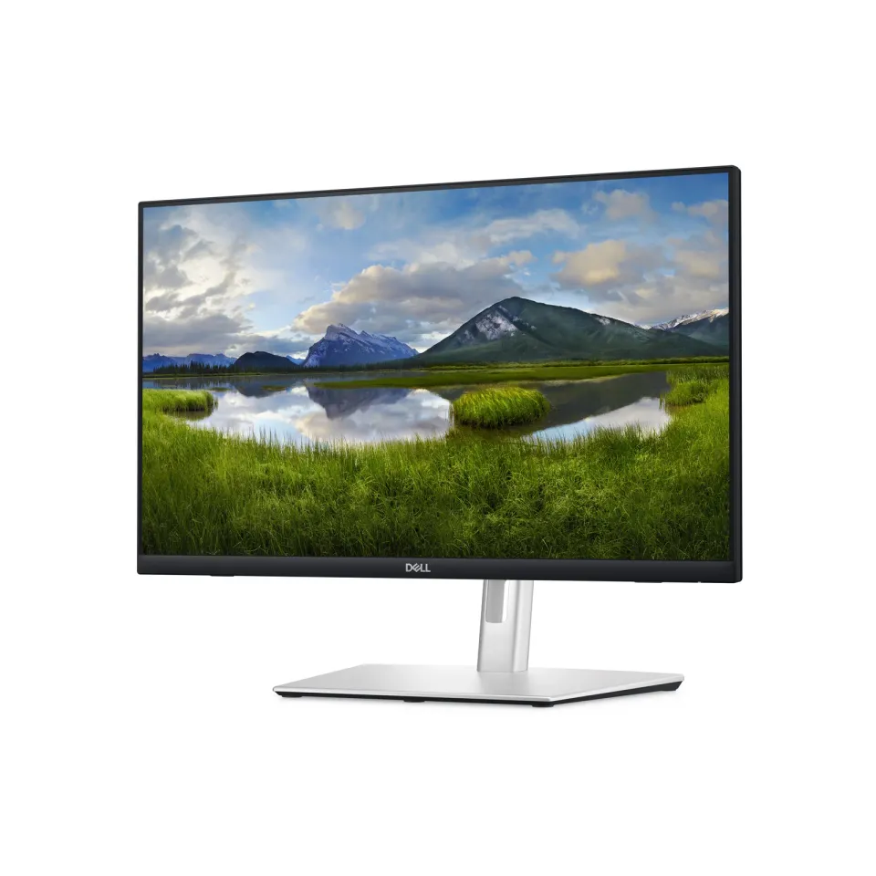 24" LCD Dell P2424HT Touch 5ms/16:9/mat/USB-C/repr