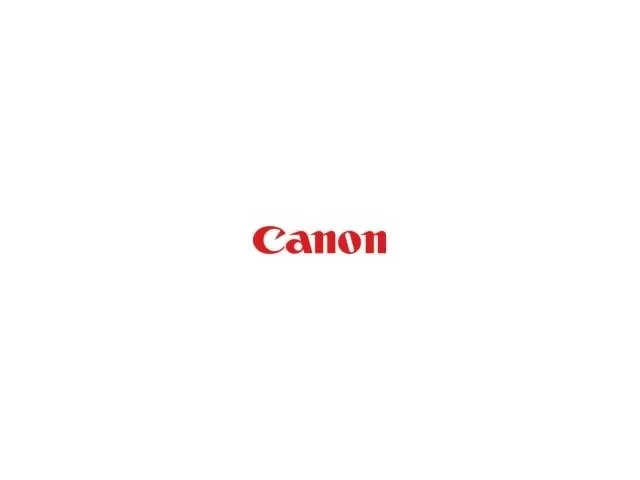 Canon cartridge PFI-320 Matte Black (PFI320MBk)/Matte black/300ml