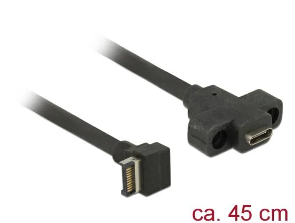 Delock Kabel USB 3.1 Gen 2 key A 20 pin samec > USB 3.1 Gen 2 USB Type-C samice