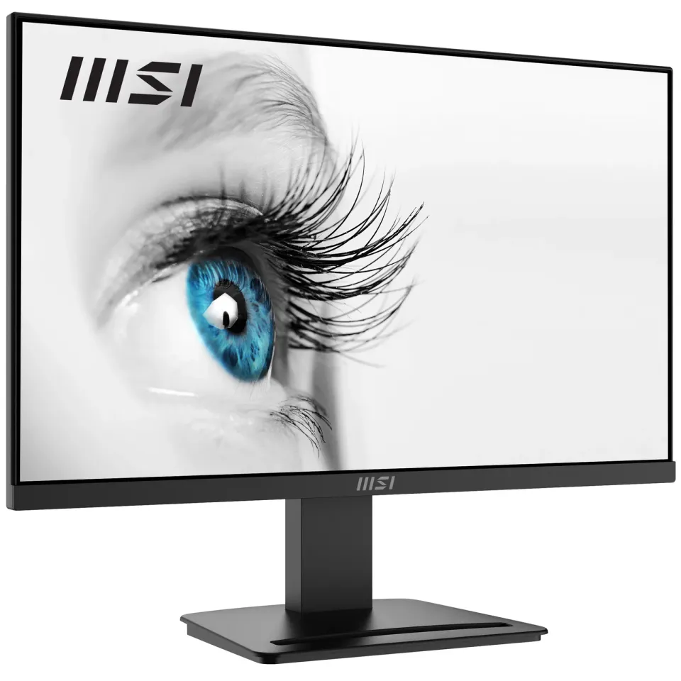 MSI monitor PRO MP2412, 23,8" VA/1920 x 1080 FHD/100Hz/1ms/HDMI/DP