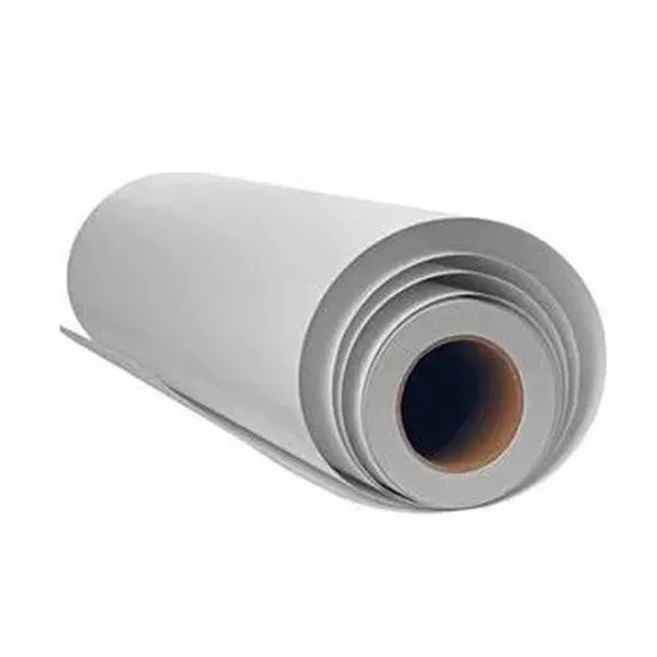 CANON Portrait Canvas 610x12m/320g 24"