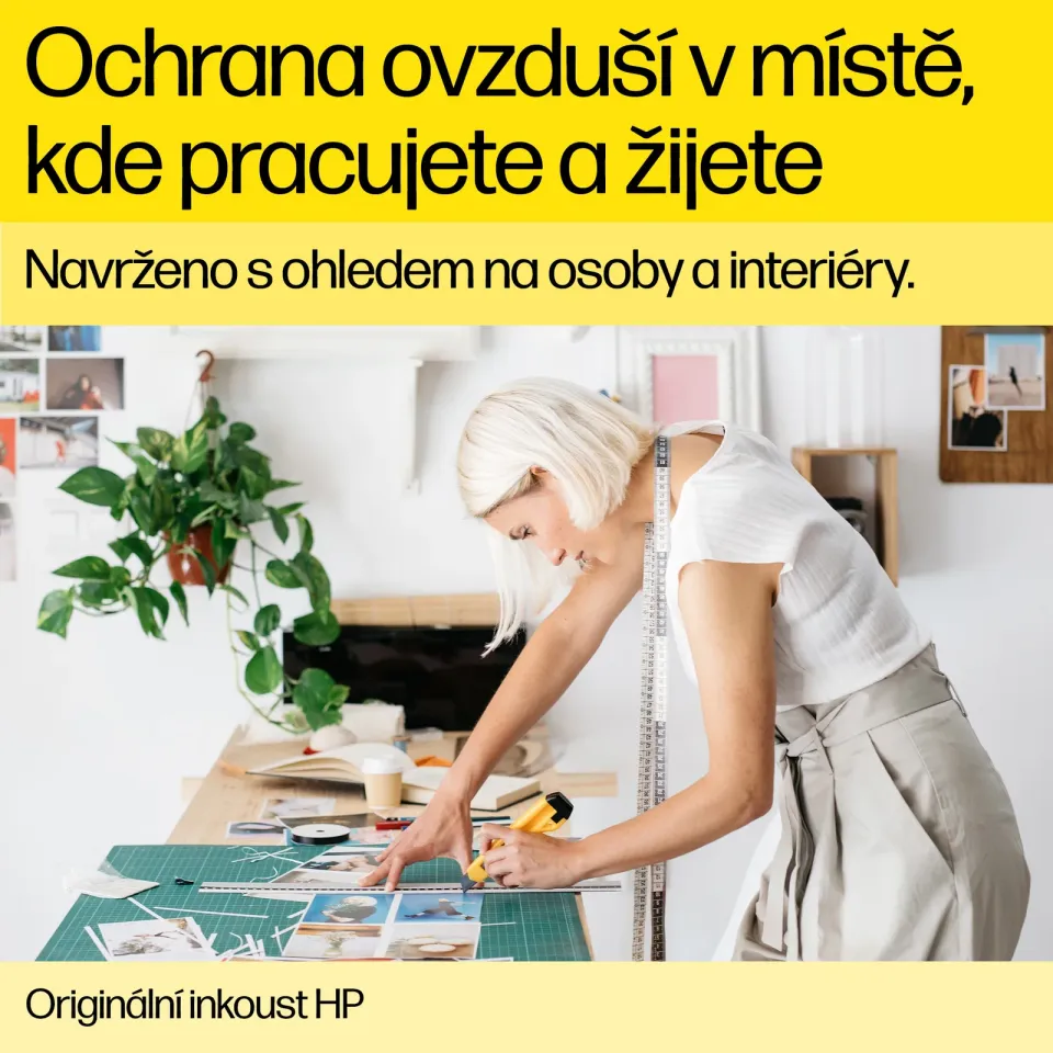 HP CC641EE náplň č.300 černá velká (HP DJ D1660, D2560, D2660, D5560, F4280, F4580, F2480)