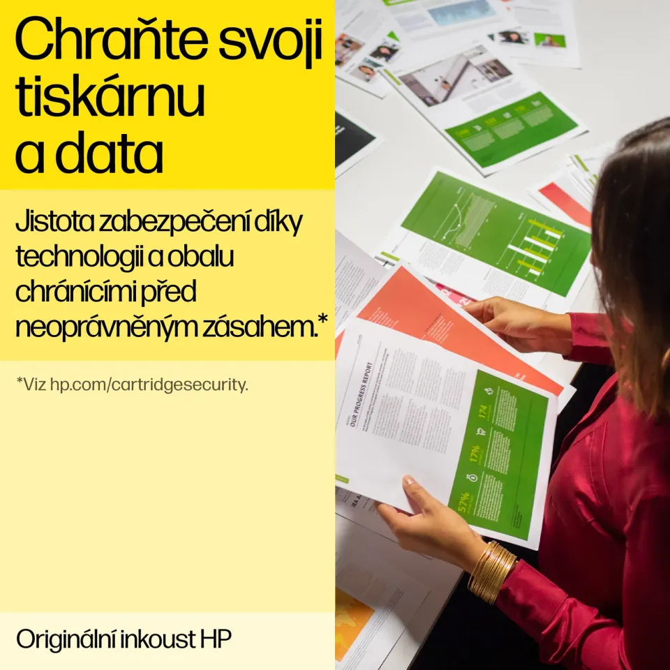 HP CC641EE náplň č.300 černá velká (HP DJ D1660, D2560, D2660, D5560, F4280, F4580, F2480)