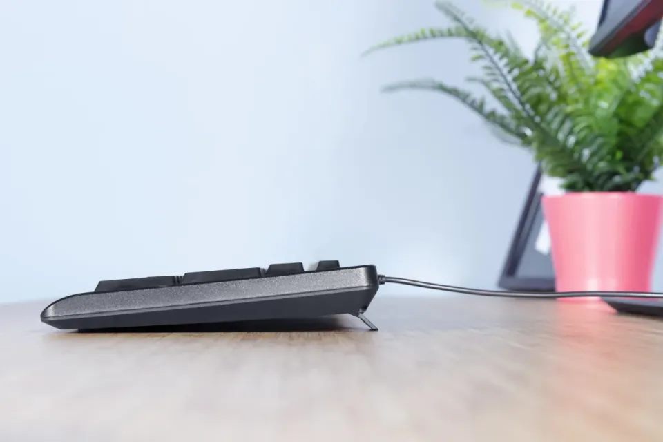 TRUST klávesnice PRIMO, membránová, USB, DE