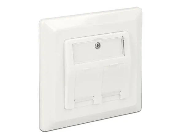 Delock Keystone nástěnné zásuvky (rámeček) 2 porty