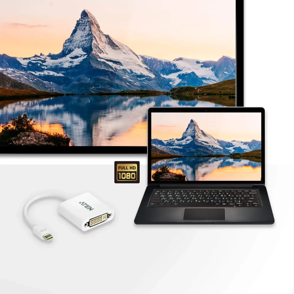 ATEN VC960-AT Mini DisplayPort(M) to DVI-D(F) Cable