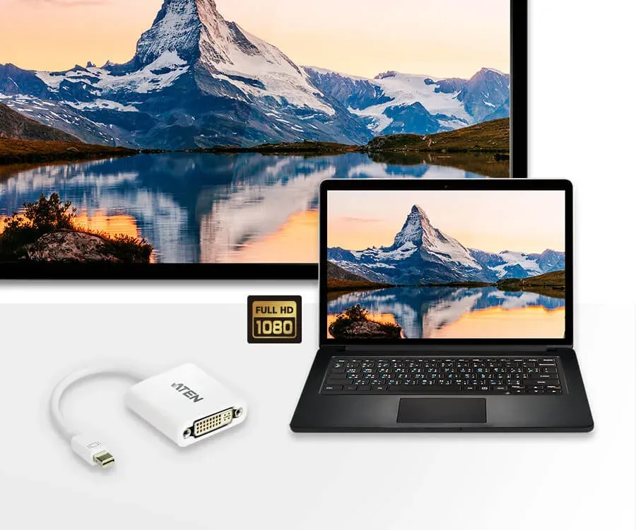 ATEN VC960-AT Mini DisplayPort(M) to DVI-D(F) Cable
