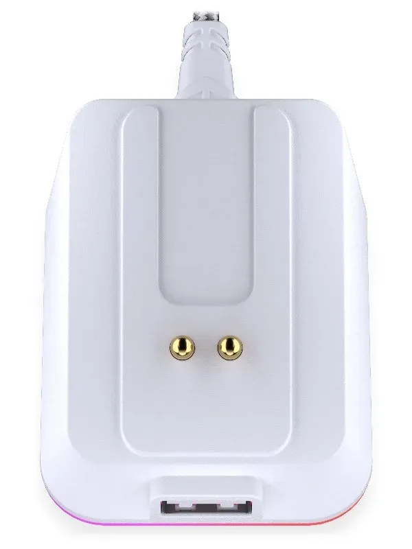 Endorfy Dokovací stanice, pro Endorfy LIV Wireless a LIV Plus Wireless, USB-C, U (EY0F002)