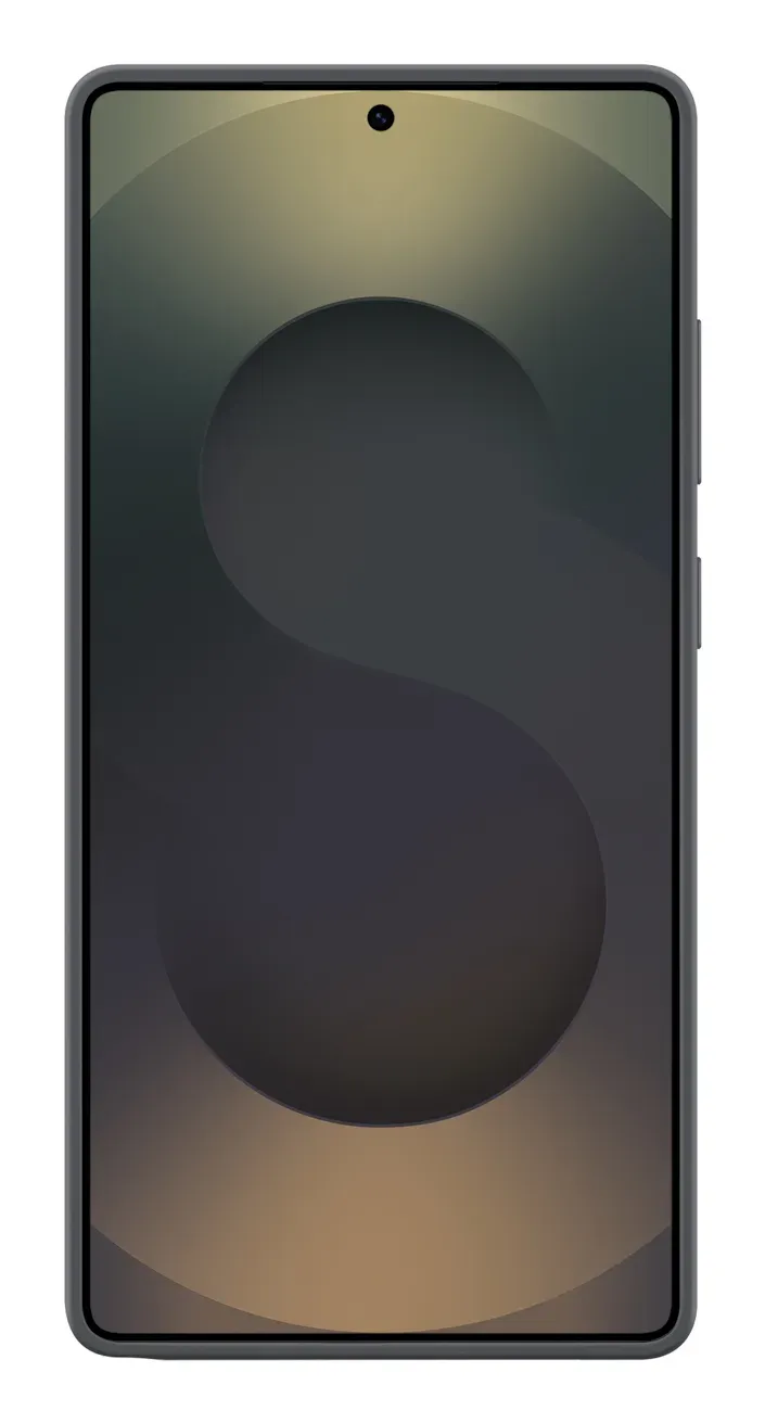 Samsung Silikonový zadní kryt pro Galaxy S25 Ultra Black