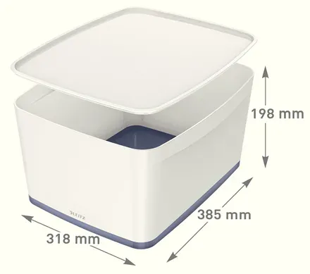 LEITZ Úložný box s víkem MyBox, velikost L, bílá/šedá