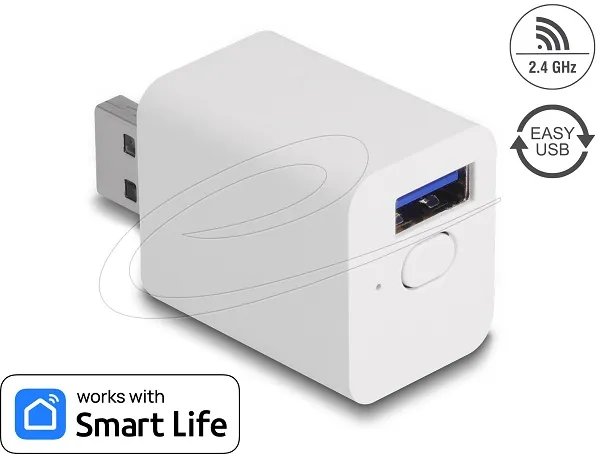 Delock WLAN EASY-USB Switch Smart Life