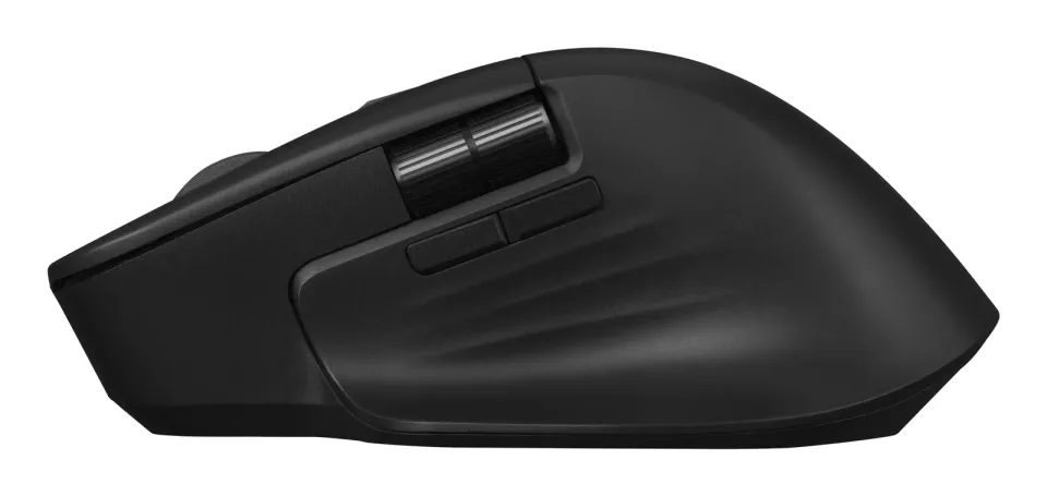 ASUS ProArt MD301/Ergonomická/Optická/Pro praváky/8 000 DPI/Drátové/Bezdrátové/Černá
