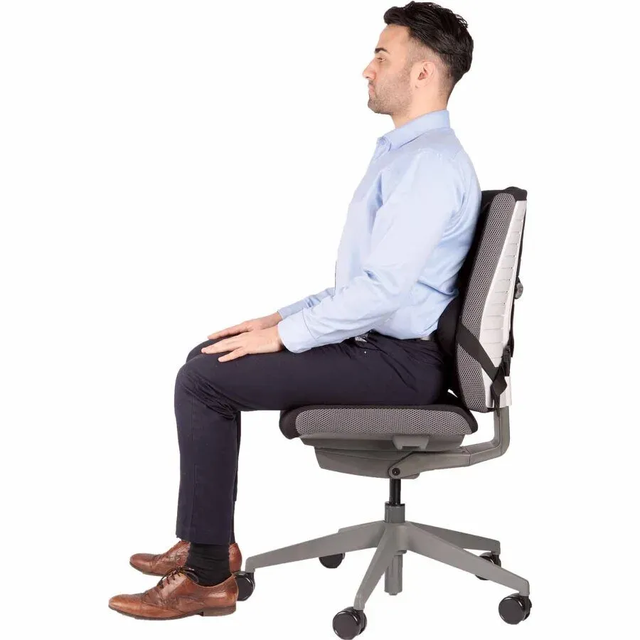 Fellowes zádová opěrka Profesional
