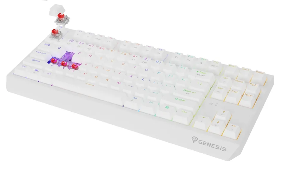 GENESIS herní klávesnice THOR 230/TKL/RGB/Outemu Red/Bezdrátová USB + Bluetooth/US layout/Bílá
