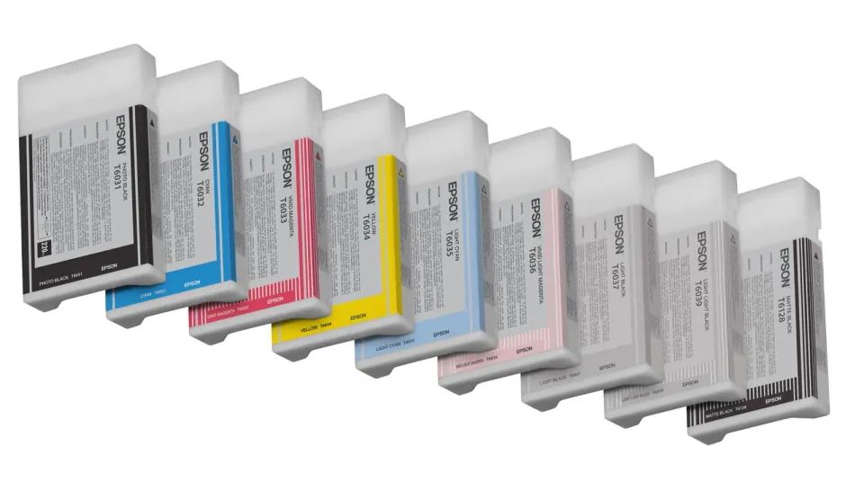 EPSON cartridge T6039 light light black (220ml)