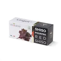 Véritable Lingot Fialový shiso - BIO