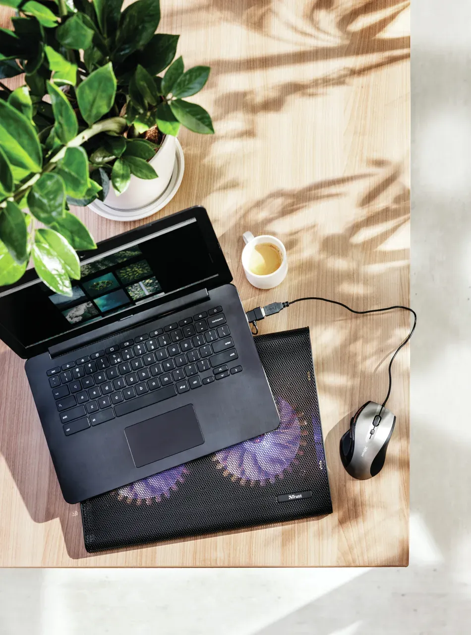 TRUST Stojan na notebook Azul Laptop Cooling Stand with dual fans (chladící podložka)