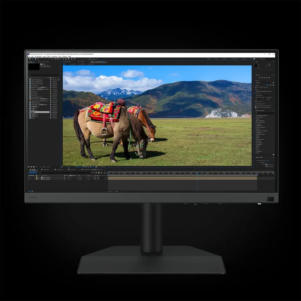 BenQ SW242Q monitor 24,1", IPS 60Hz, 2560 × 1600, 400cd/m², 5ms, HDMI, DisplayPort, USB-C, VESA