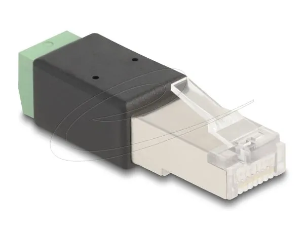 Delock Adaptér ze zástrčky rozhraní RJ45 na svorkovnici, 2 pinový