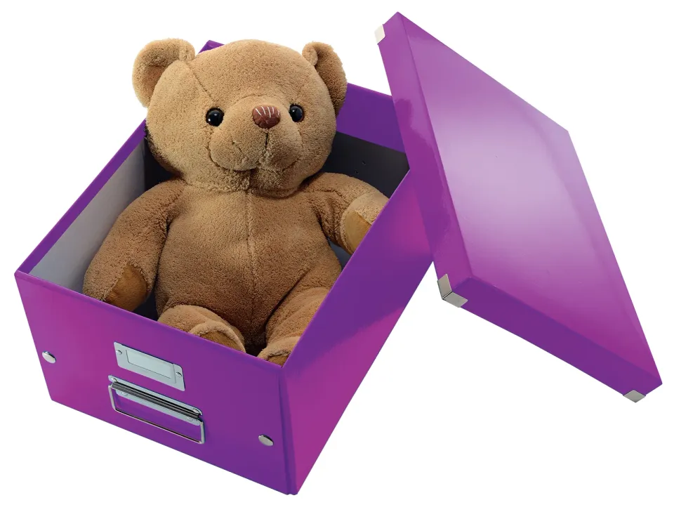 LEITZ Univerzální krabice Click&Store, velikost M (A4), purpurová