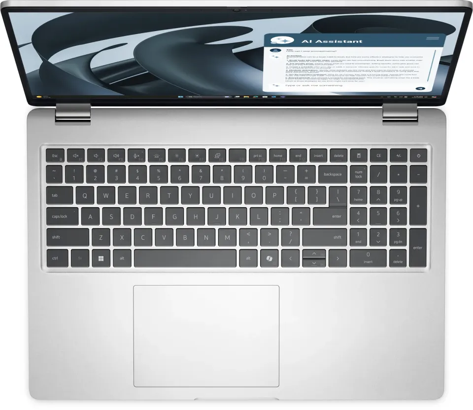 Dell Pro 16 Plus/PB16255/R5PRO-230/16"/WUXGA/32GB/1TB/AMD int/W11P/Silver/3R NBD