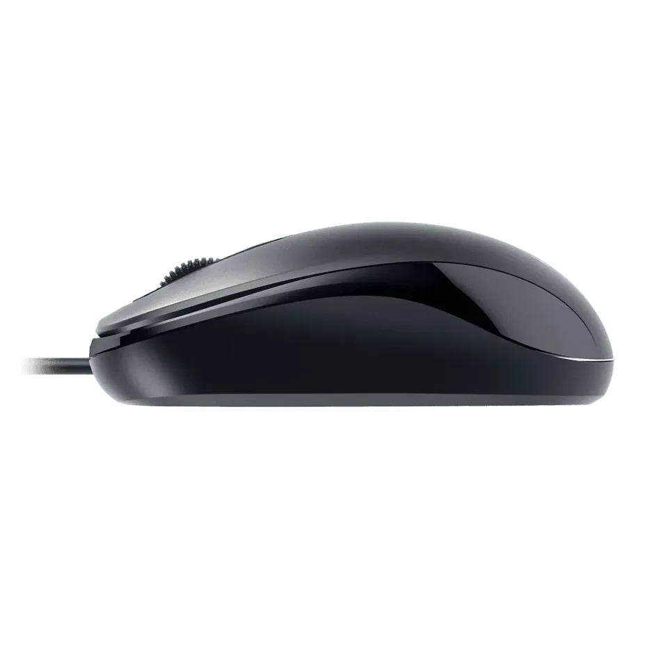 GENIUS myš DX-110 USB-C 1000dpi černá