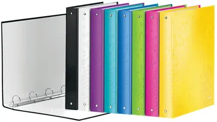 LEITZ Kroužkový pořadač WOW, A4+, 4DR/25mm, zelená