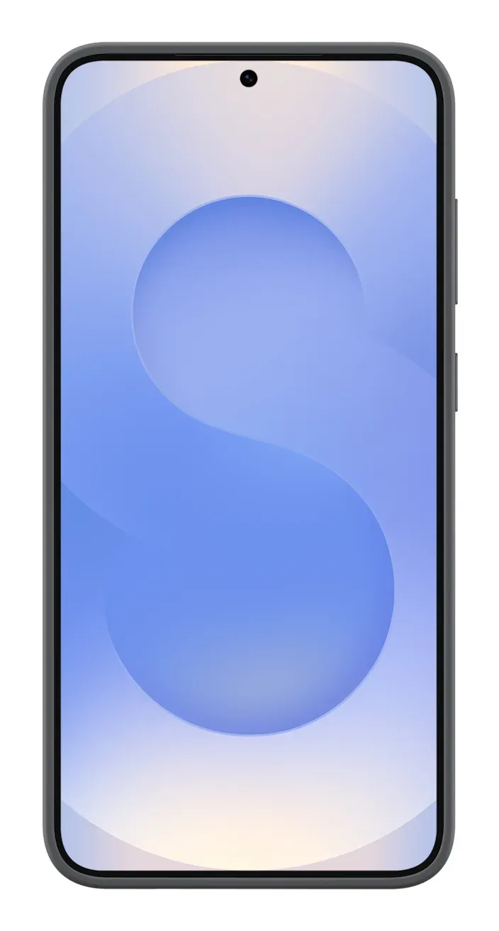 Samsung Silikonový zadní kryt pro Galaxy S25+ Black