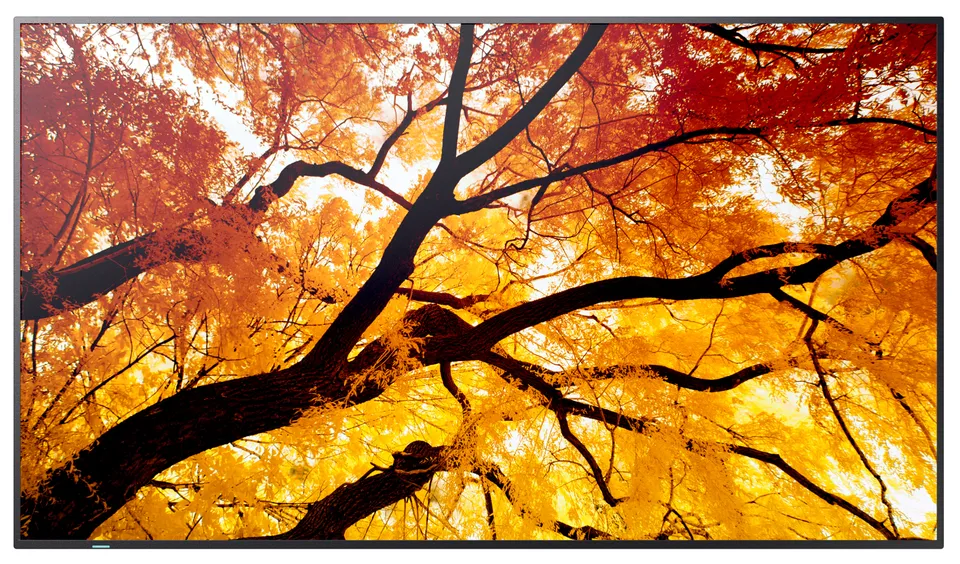 Sharp 55" MultiSync M552 - 24/7, 550 cd, IPS E-LED, 3840x2160, 16:9, 8ms, 8000: