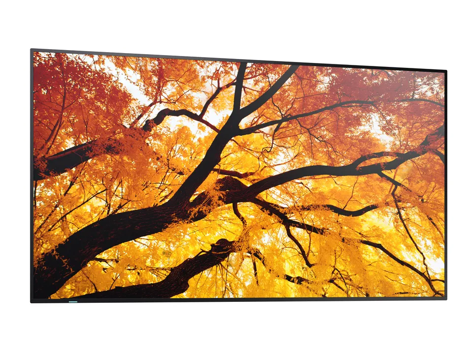 Sharp 55" MultiSync M552 - 24/7, 550 cd, IPS E-LED, 3840x2160, 16:9, 8ms, 8000: