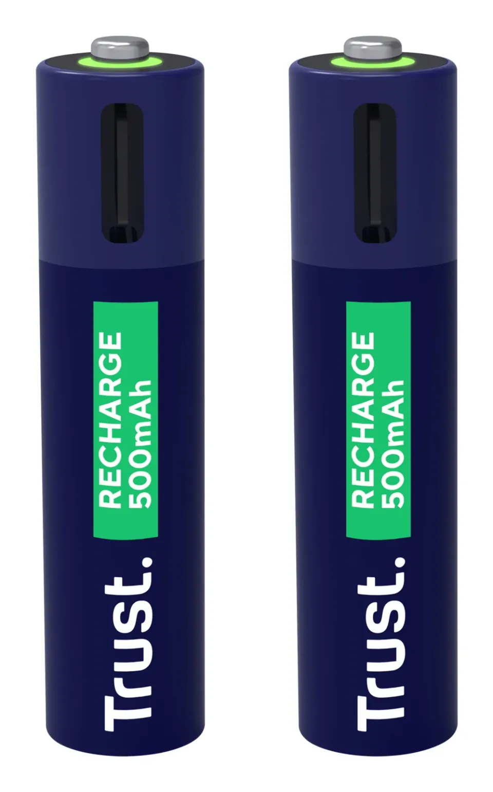TRUST USB-C RECHARGEABLE BATTERIES 2P - AAA