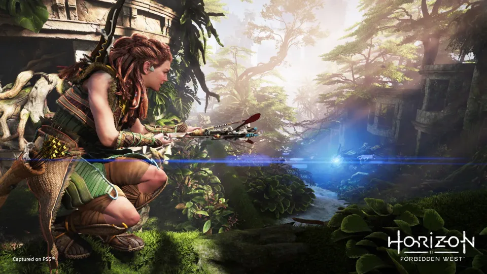 PS4 - Horizon Forbidden West