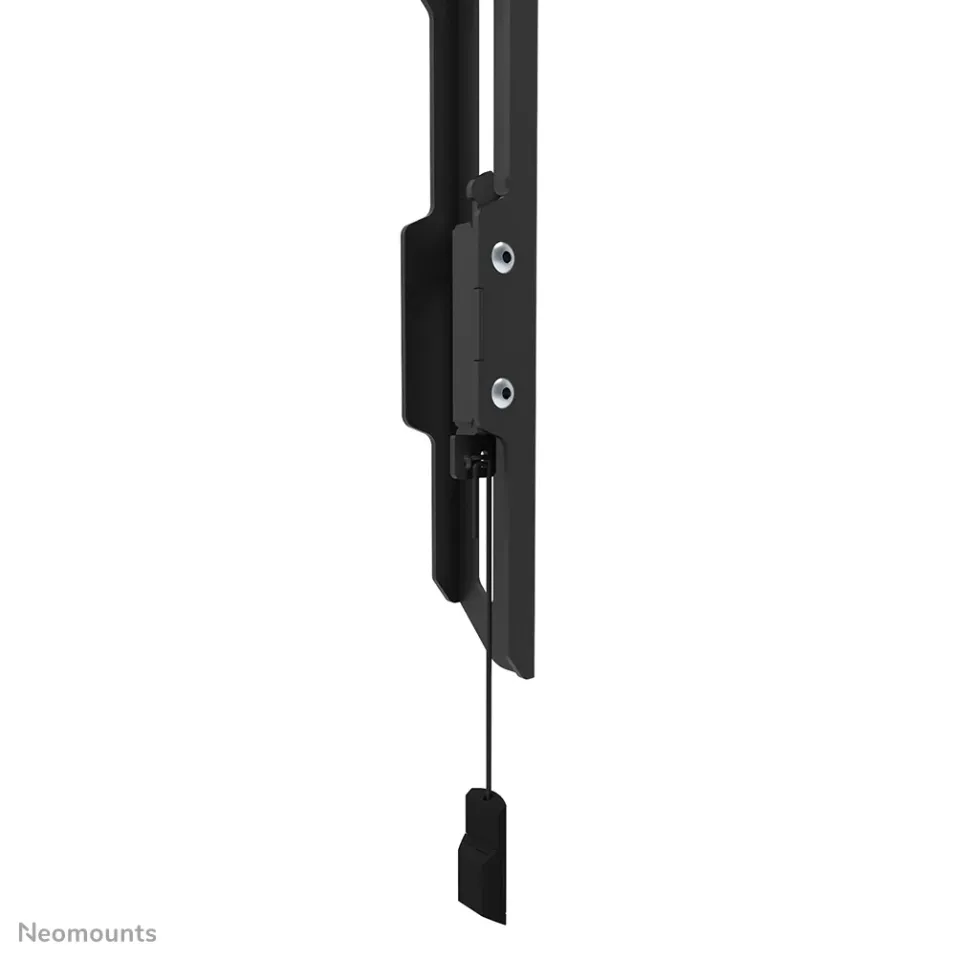 Neomounts WL30-550BL16/Držák displeje/na stěnu/40-75"/fixní/VESA 600X400/nosn. 70kg/ultra tenký/černý