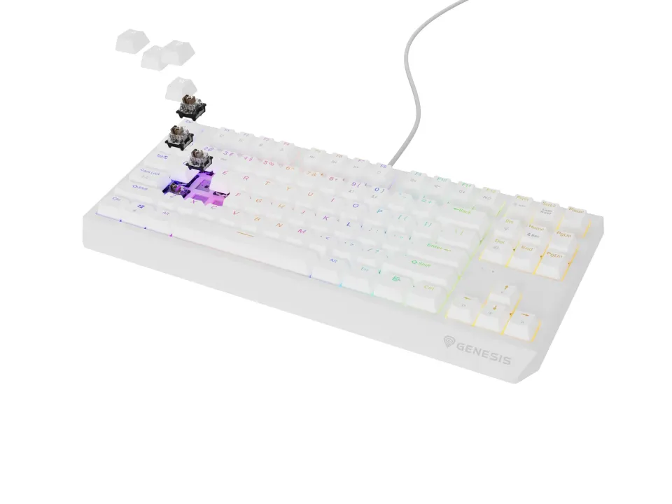Genesis herní klávesnice THOR 230/TKL/RGB/Outemu Brown/Drátová USB/US layout/Bílá