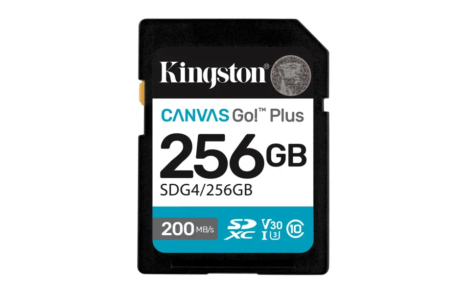 KINGSTON SD card SDXC 256GB Canvas Go! Plus