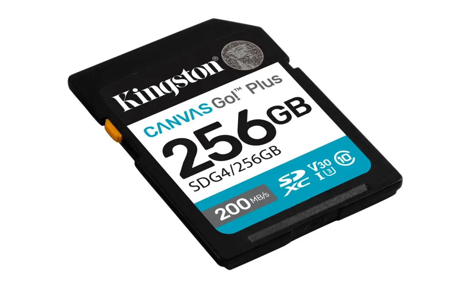 KINGSTON SD card SDXC 256GB Canvas Go! Plus
