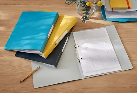 LEITZ Kroužkový pořadač Cosy PP 2RR, dvoukroužkový, sametově šedá