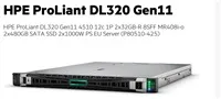 HPE PL DL320g11 4510 (2.4/12C) 2x32G (p64706) 2x480G (P40497) MR408i-o 8SFF 2x1000W 2x1Gb Smart Choice