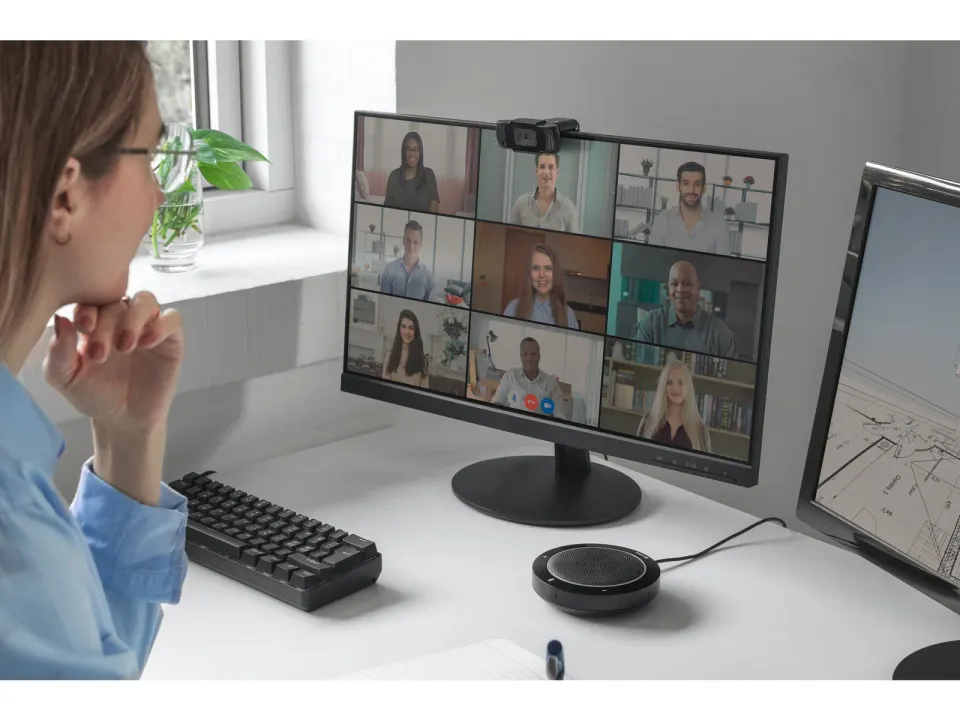 Sandberg USB Webcam Saver