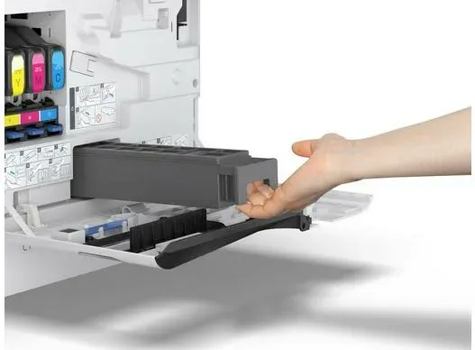 Epson Maintenance Box for AM-C400/550