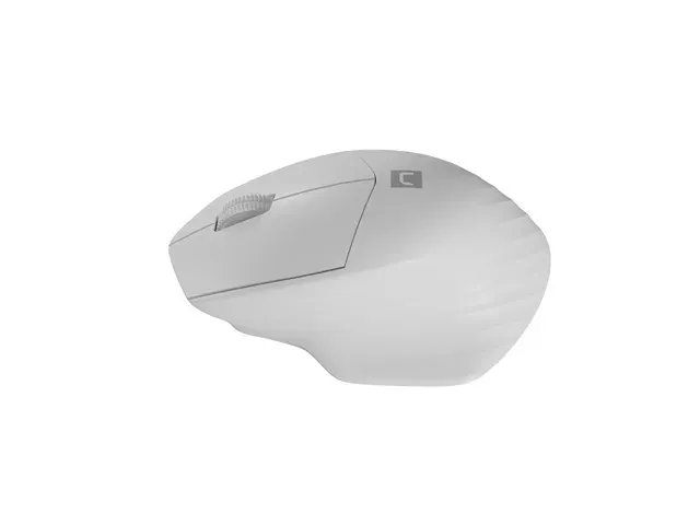 Natec optická myš SISKIN 2/Kancelářská/Optická/Pro praváky/1 600 DPI/USB+BT/Bílá