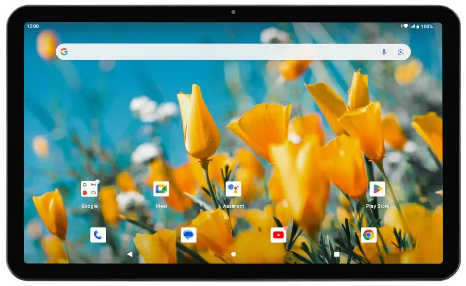 UMAX tablet PC VisionBook 11T LTE Pro/ 10,95" IPS/ 2000x1200/ T606/ 6GB/ 128GB Flash/ USB-C/ SD/ micro SIM/ Android 12