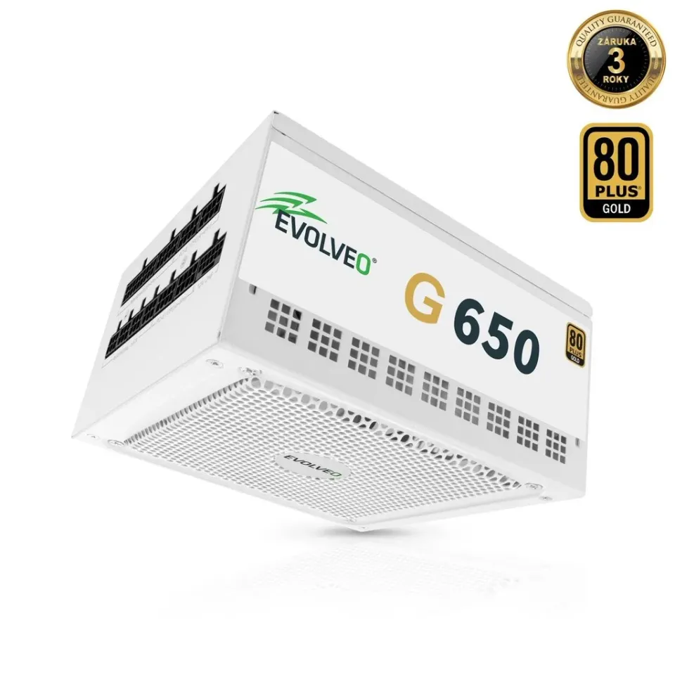 EVOLVEO G650 zdroj 650W, 80+ GOLD, ATX 3.1, PCIe 5.1, aPFC, 140mm ventilátor, mo
