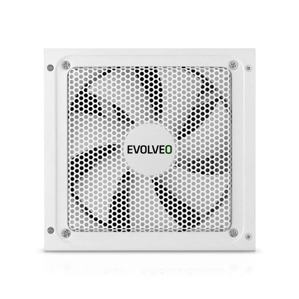 EVOLVEO G650 zdroj 650W, 80+ GOLD, ATX 3.1, PCIe 5.1, aPFC, 140mm ventilátor, mo