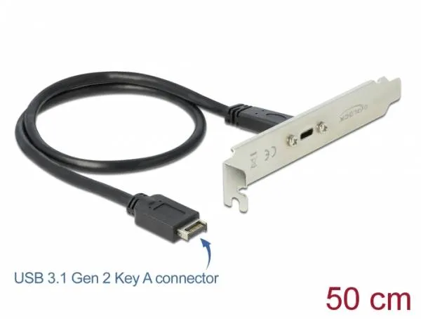 Delock USB 3.1 Gen 2 Záslepka slotu s portem 1 x USB Type-C