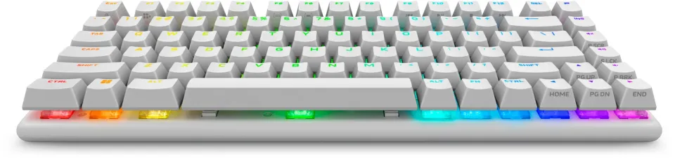 Alienware Pro Wireless Gaming Keyboard - US (QWERTY) (Lunar Light)